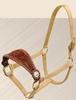 Bronc Halter